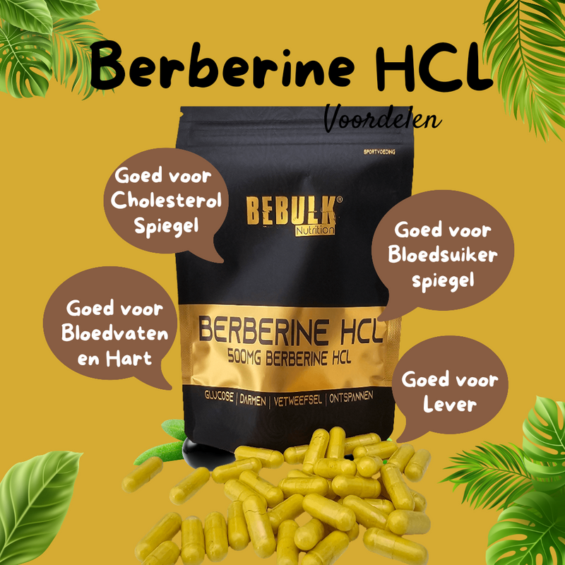 Berberin HCL 98 % 500 mg – Vegan – BeBulk Nutrition 